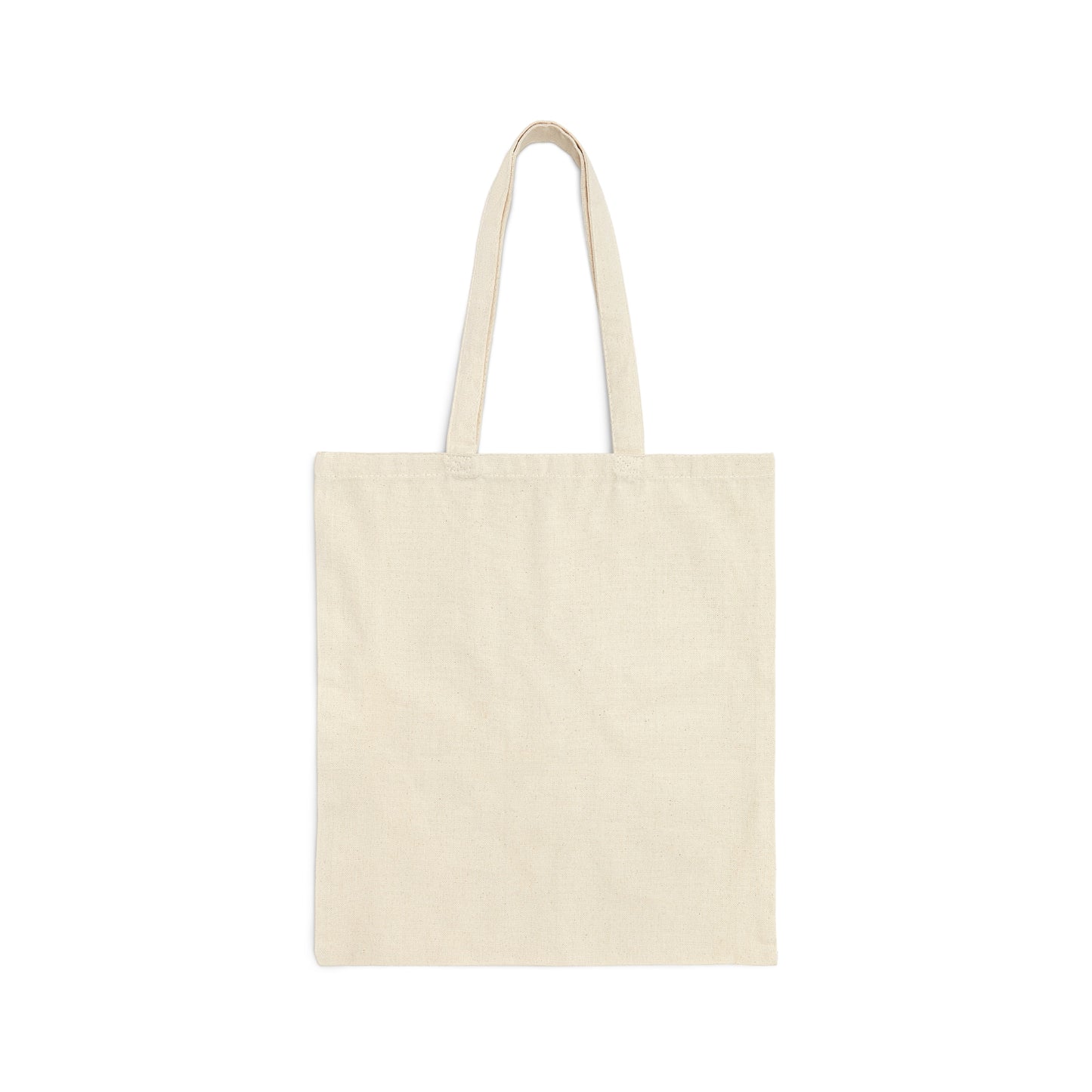 informal. tote bag